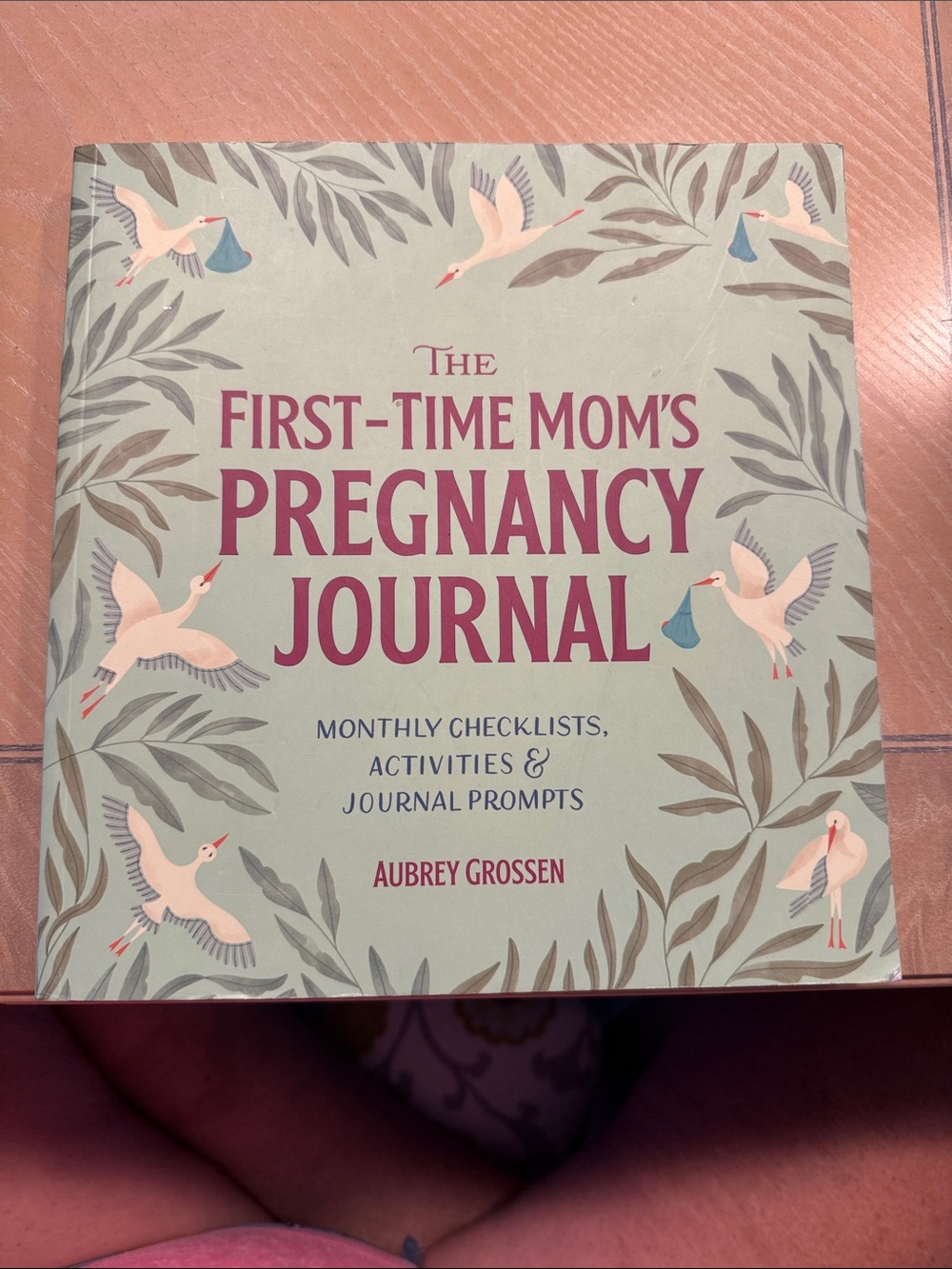 The First-Time Mom's Pregnancy Journal - Mint Green & Pink